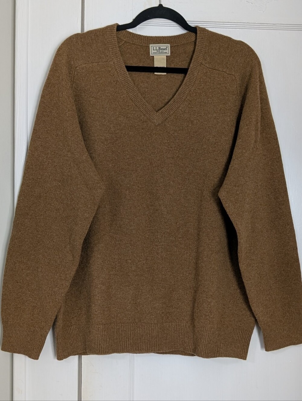 LL Bean Vtg 100% Lambswool V-Neck Pullover Sweater Men's Large Long Sleeve Beige